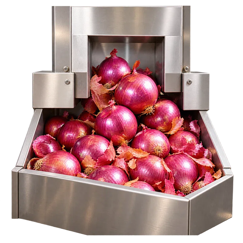 Onions in sorting bin
