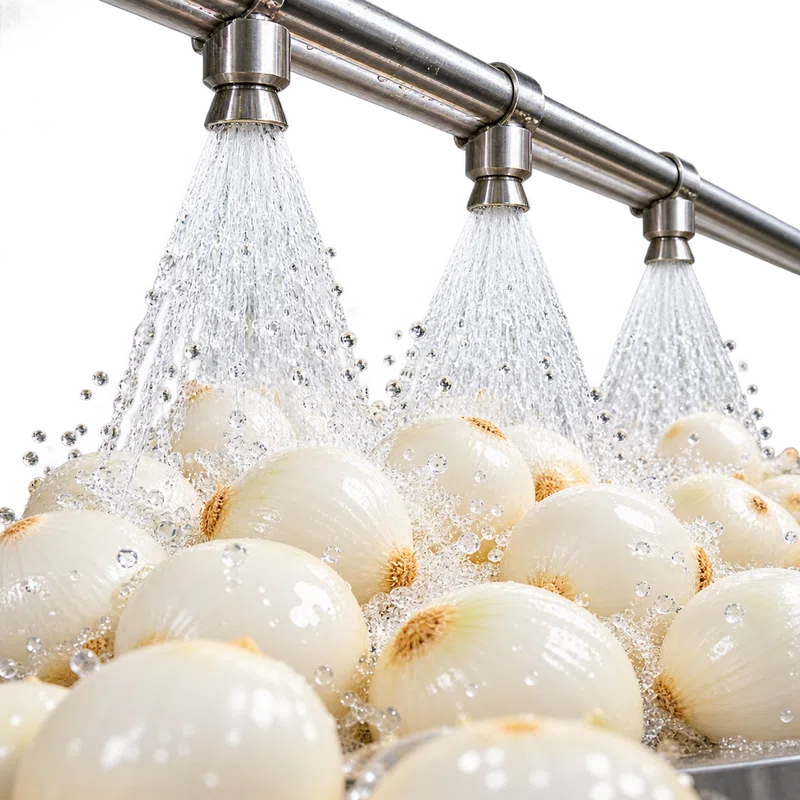 Onions being washed under water jets