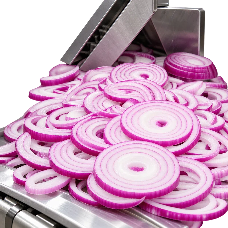 Sliced onions on processing conveyor